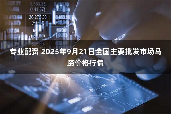 专业配资 2025年9月21日全国主要批发市场马蹄价格行情